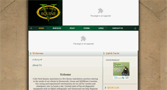 Desktop Screenshot of cnequine.com